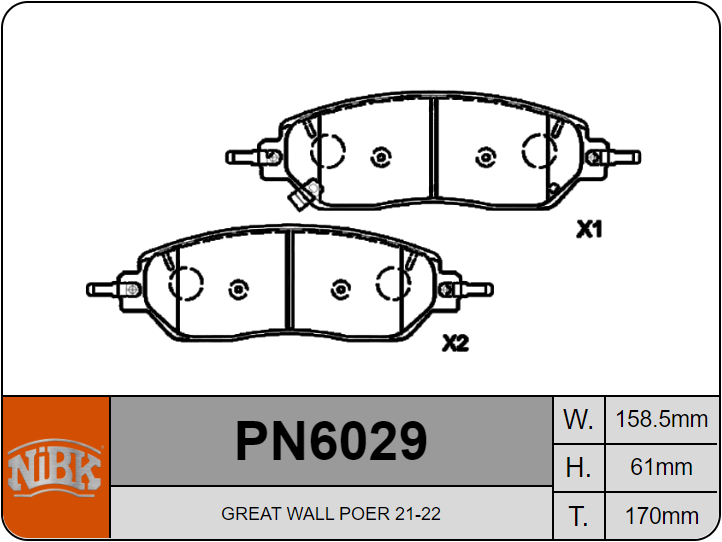 PN6029